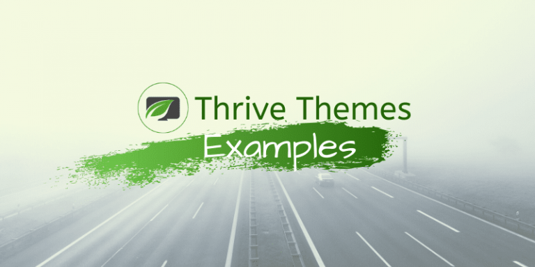 17 Real Thrive Themes Examples & Thrive Architect Library 2024