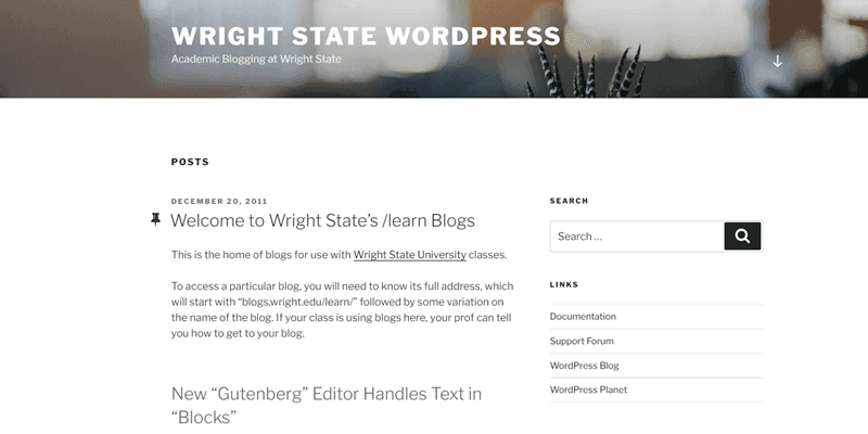 wordpress twenty seventeen examples write state wordpress